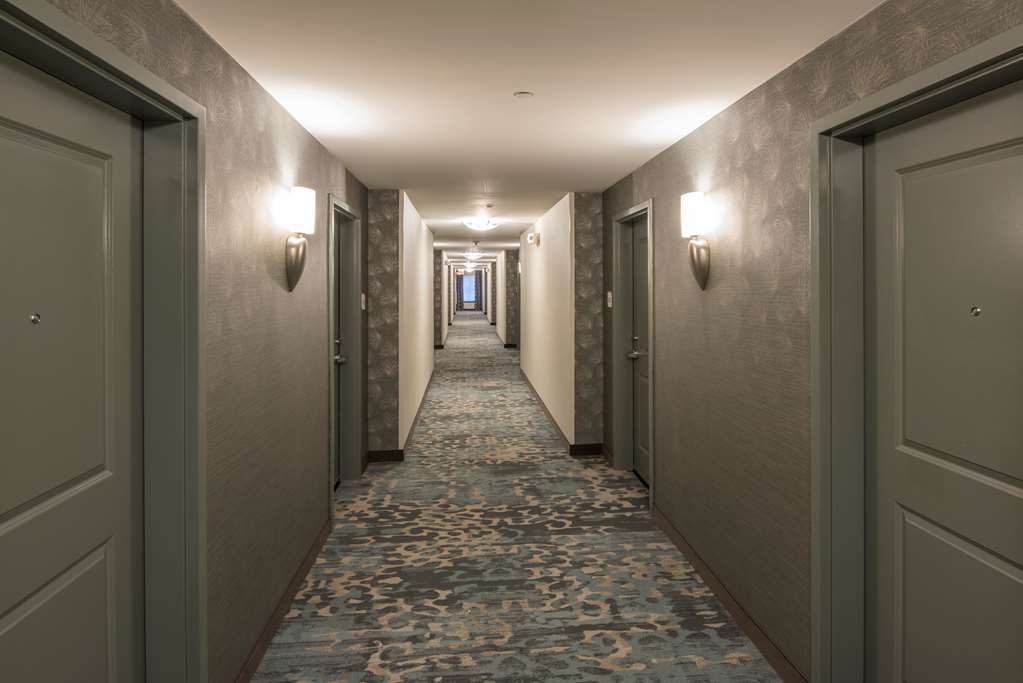 Hilton Garden Inn Mount Holly/Westampton Beltér fotó